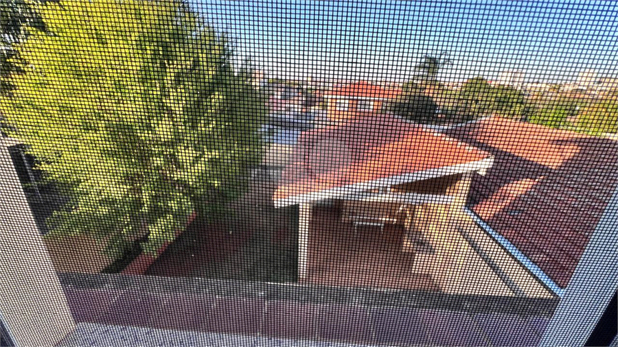 Foto REO1129698