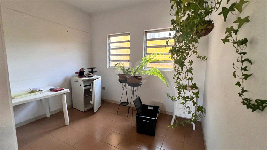 Foto REO1129698