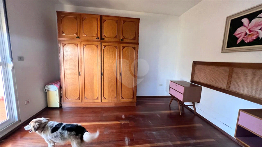 Foto REO1129698