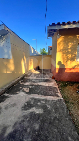 Foto REO1129698