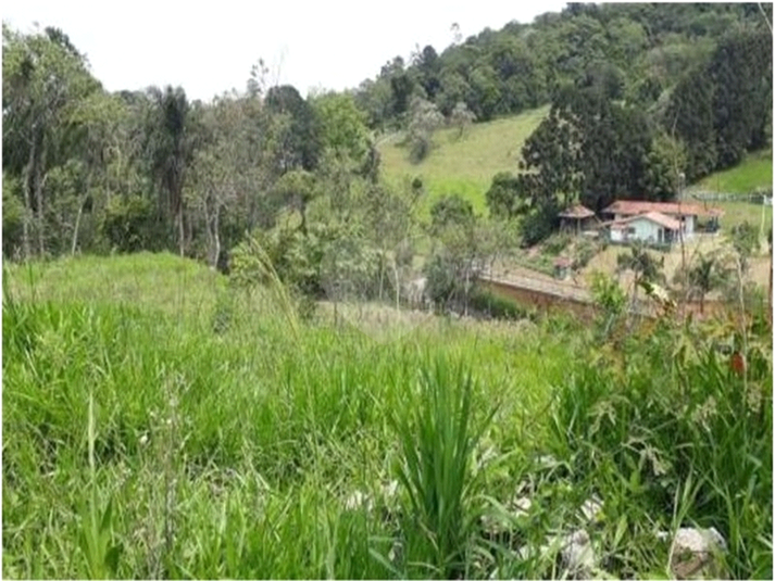 Foto REO1129706