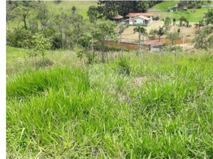 Foto REO1129706