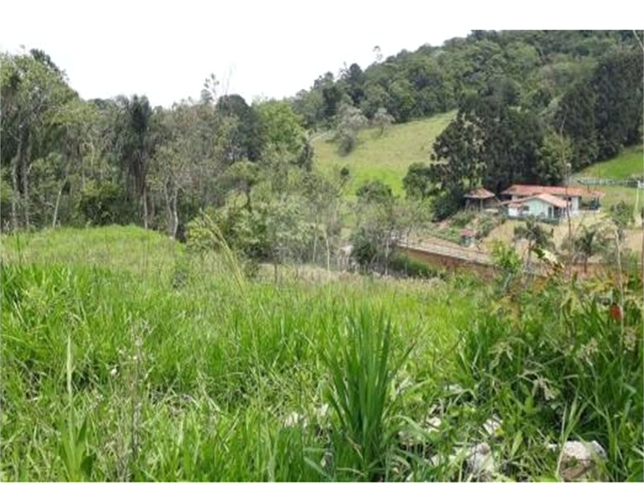 Foto REO1129706