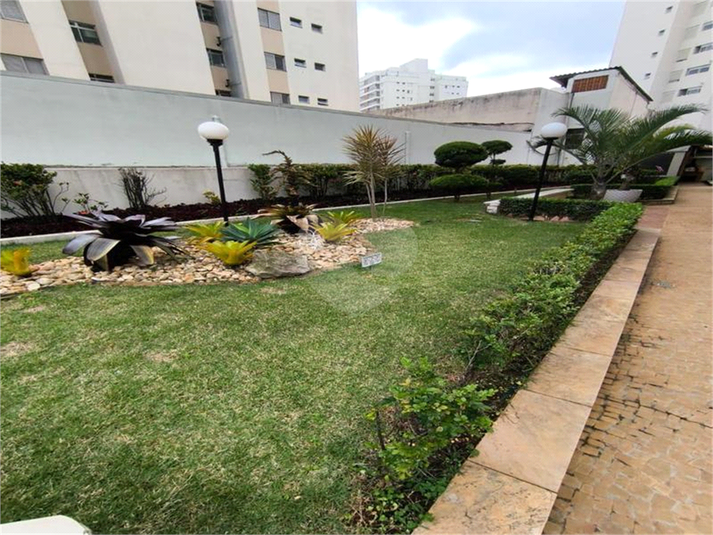 Foto REO1129708