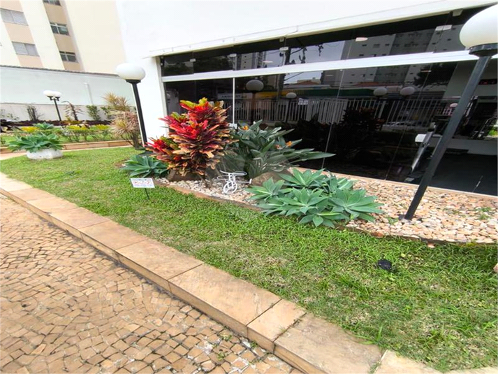 Foto REO1129708