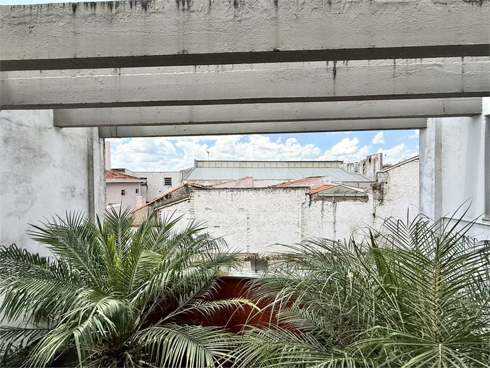 Foto REO1129711