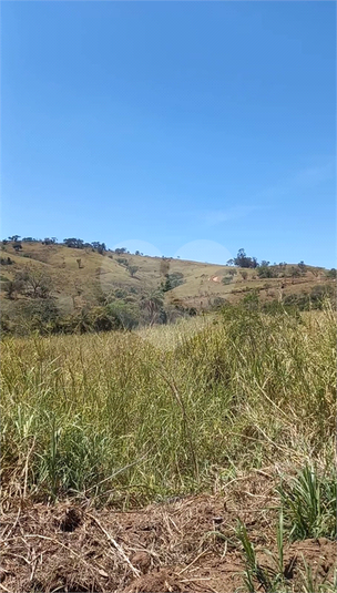 Foto REO1129713