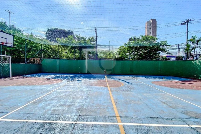 Foto REO1129727