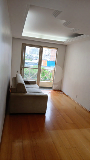 Foto REO1129727