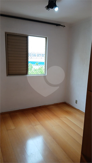 Foto REO1129727