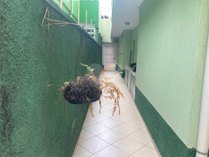 Foto REO1129728