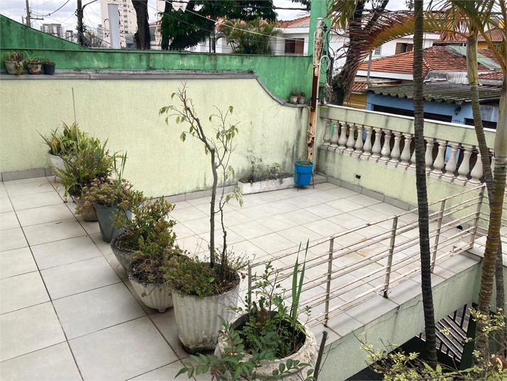 Foto REO1129728