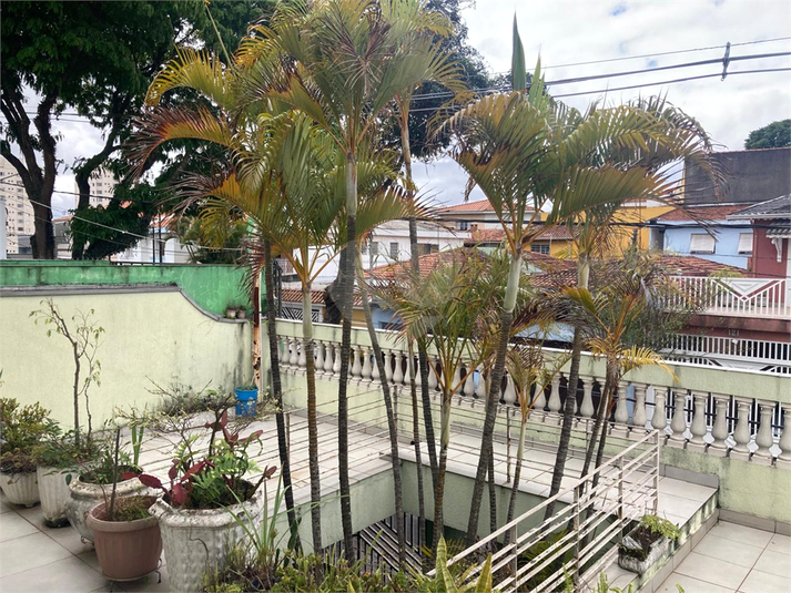 Foto REO1129728