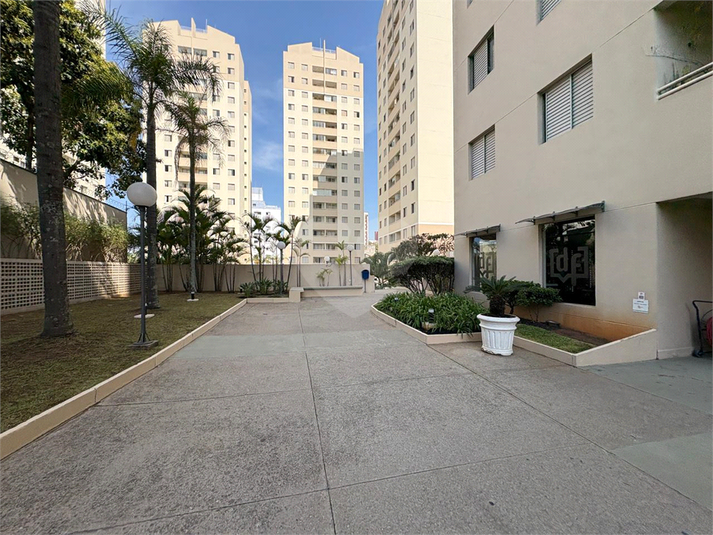 Foto REO1129732
