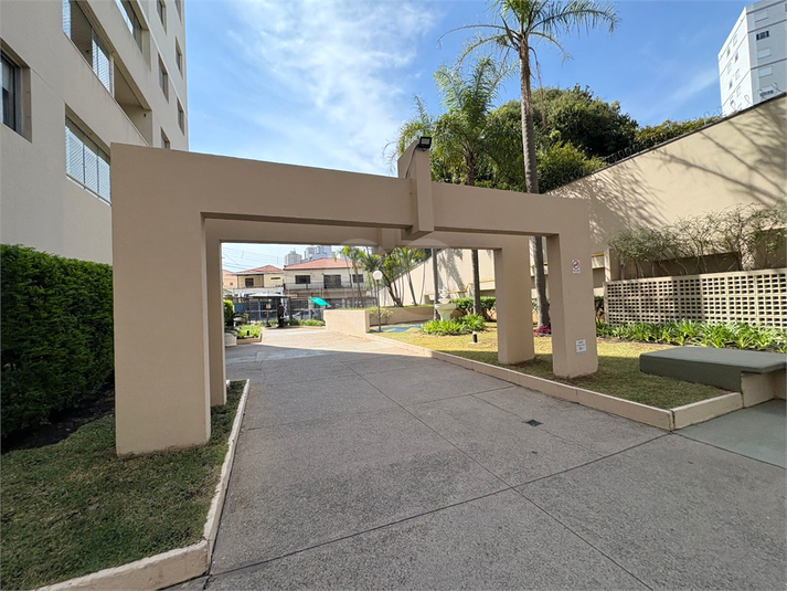 Foto REO1129732