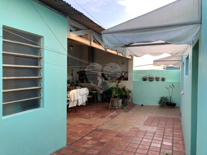 Foto REO1129748