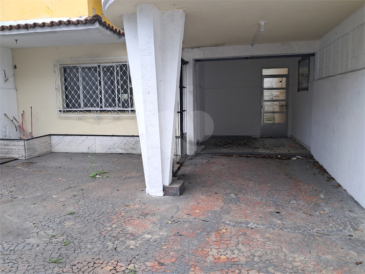 Foto REO1129755
