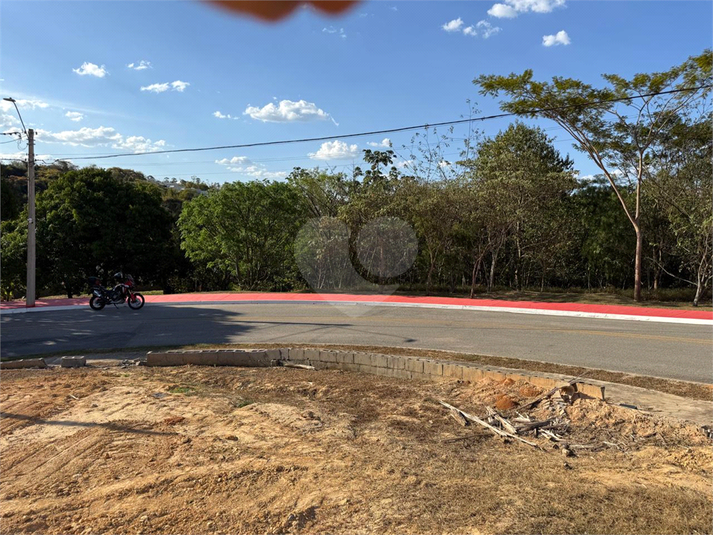 Foto REO1129758