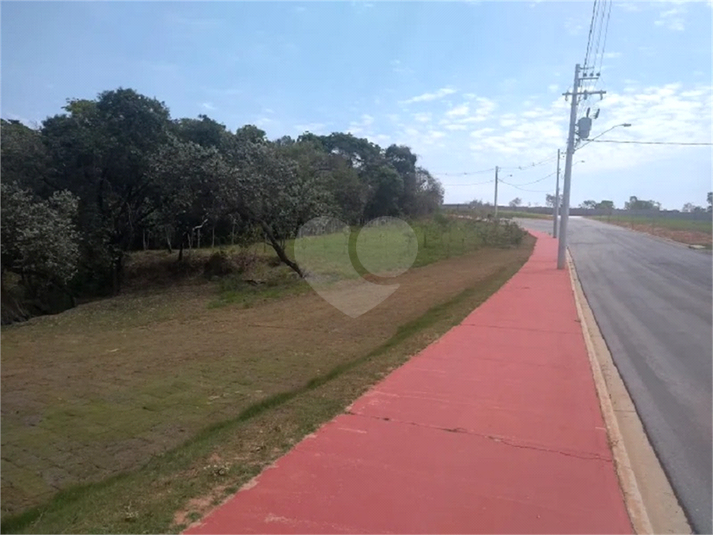 Foto REO1129758