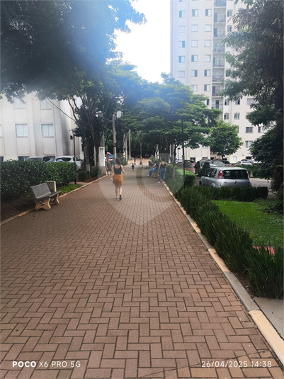 Foto REO1129767