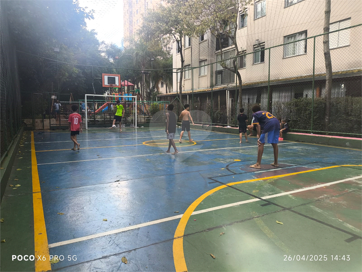 Foto REO1129767