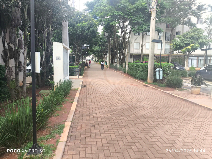 Foto REO1129767