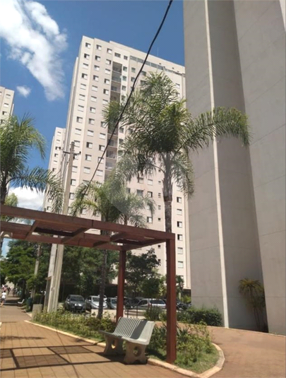 Foto REO1129767