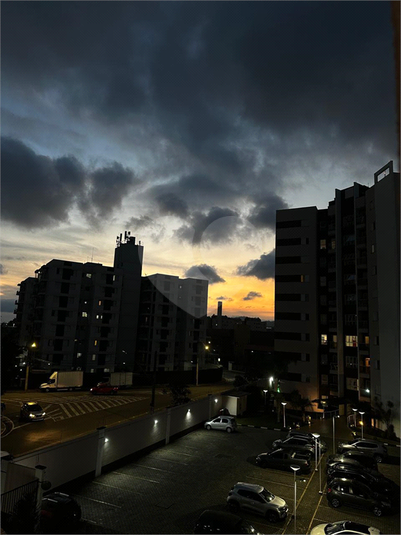 Foto REO1129769