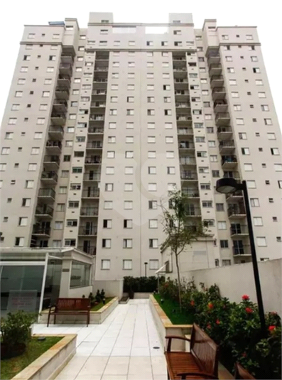Foto REO1129770
