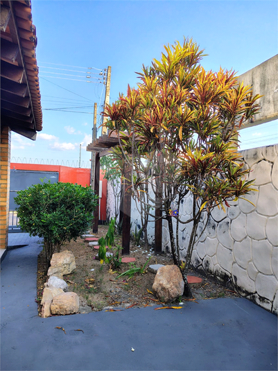 Foto REO1129778