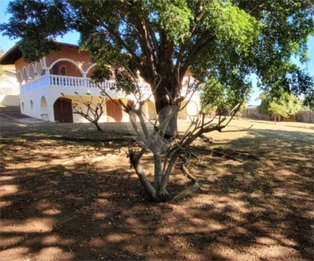 Foto REO1129784