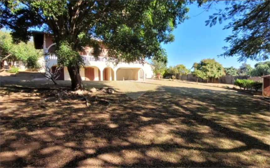 Foto REO1129784