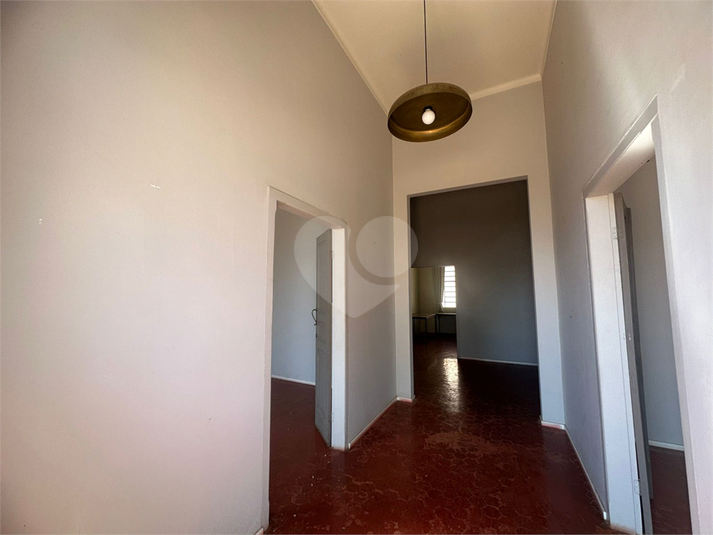 Foto REO1129786