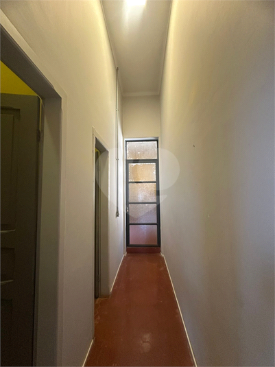 Foto REO1129786
