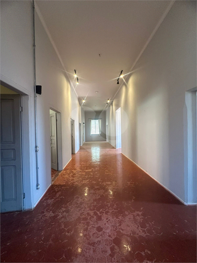 Foto REO1129786