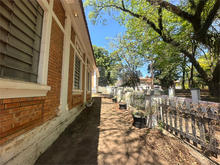 Foto REO1129786