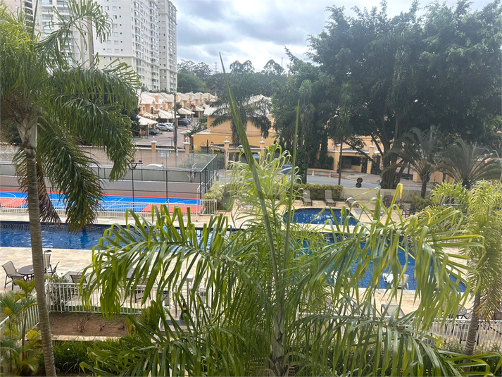 Foto REO1129794