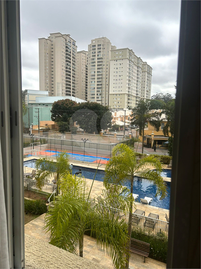 Foto REO1129794