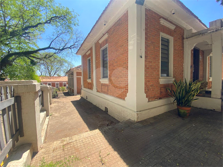 Foto REO1129802