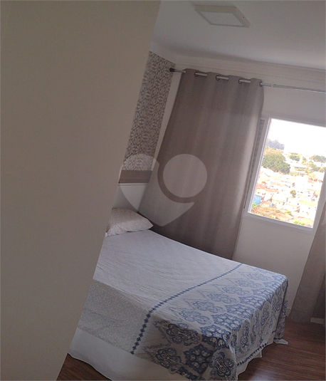 Foto REO1129808