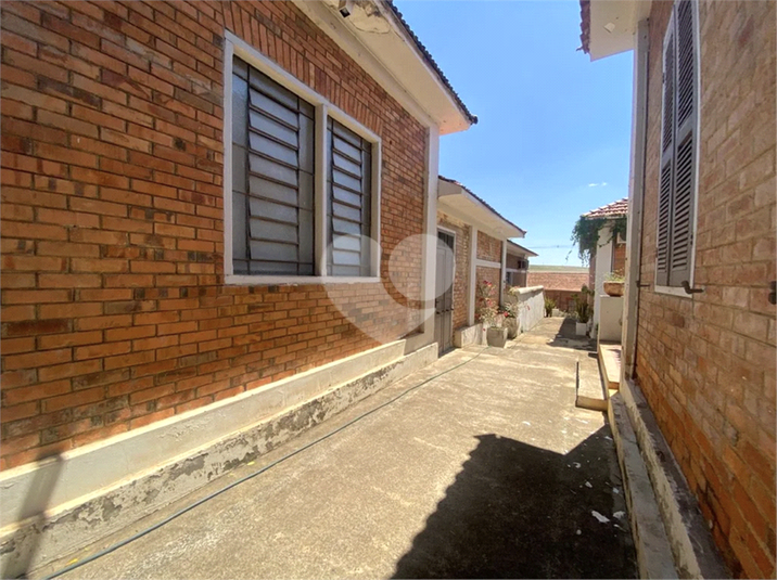 Foto REO1129814