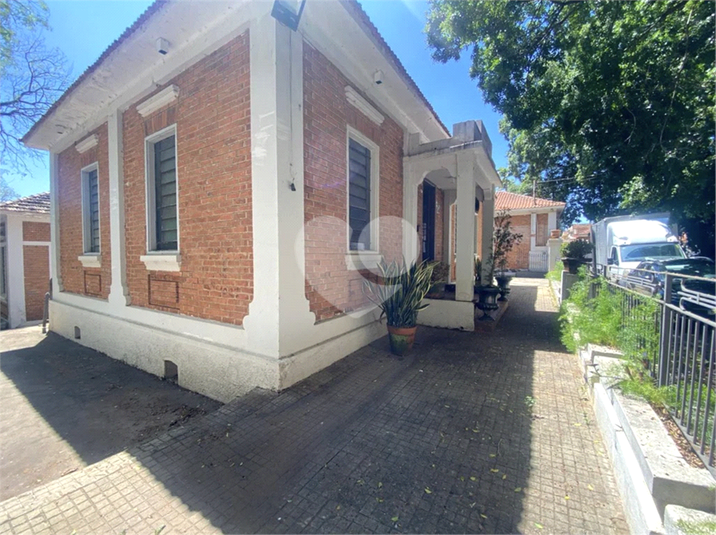 Foto REO1129814