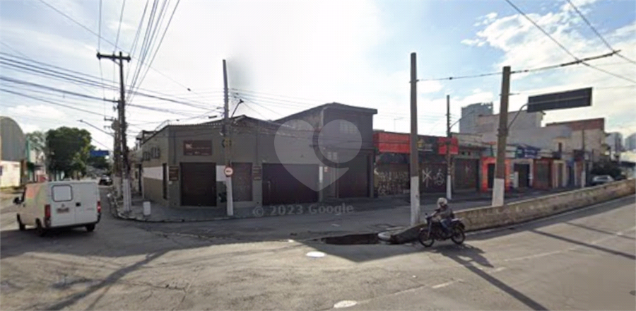 Foto REO1129820