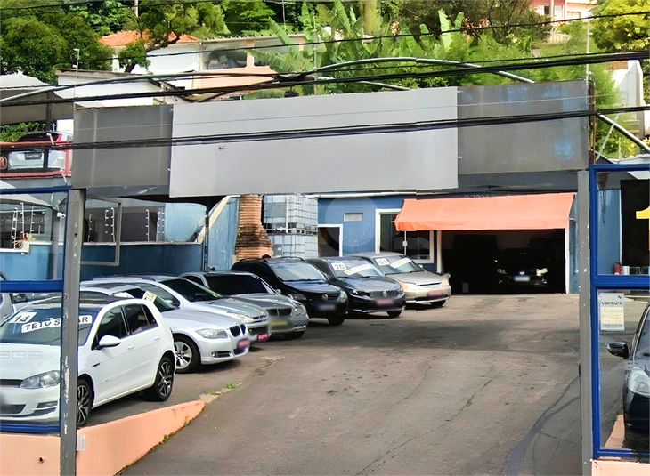 Foto REO1129825
