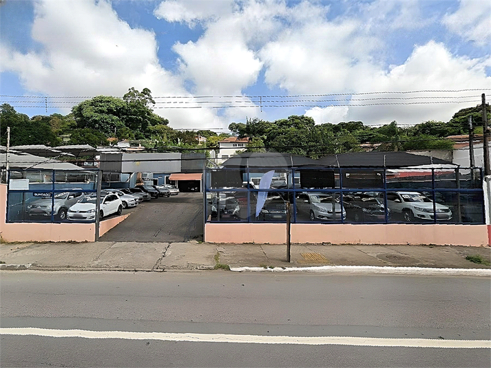 Foto REO1129825