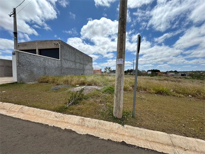 Foto REO1129826