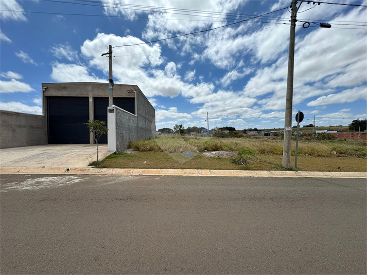 Foto REO1129826