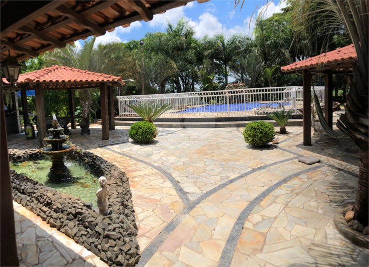 Foto REO1129832