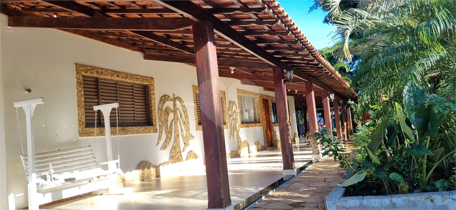 Foto REO1129832
