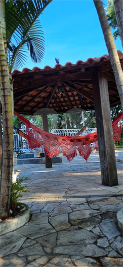 Foto REO1129832